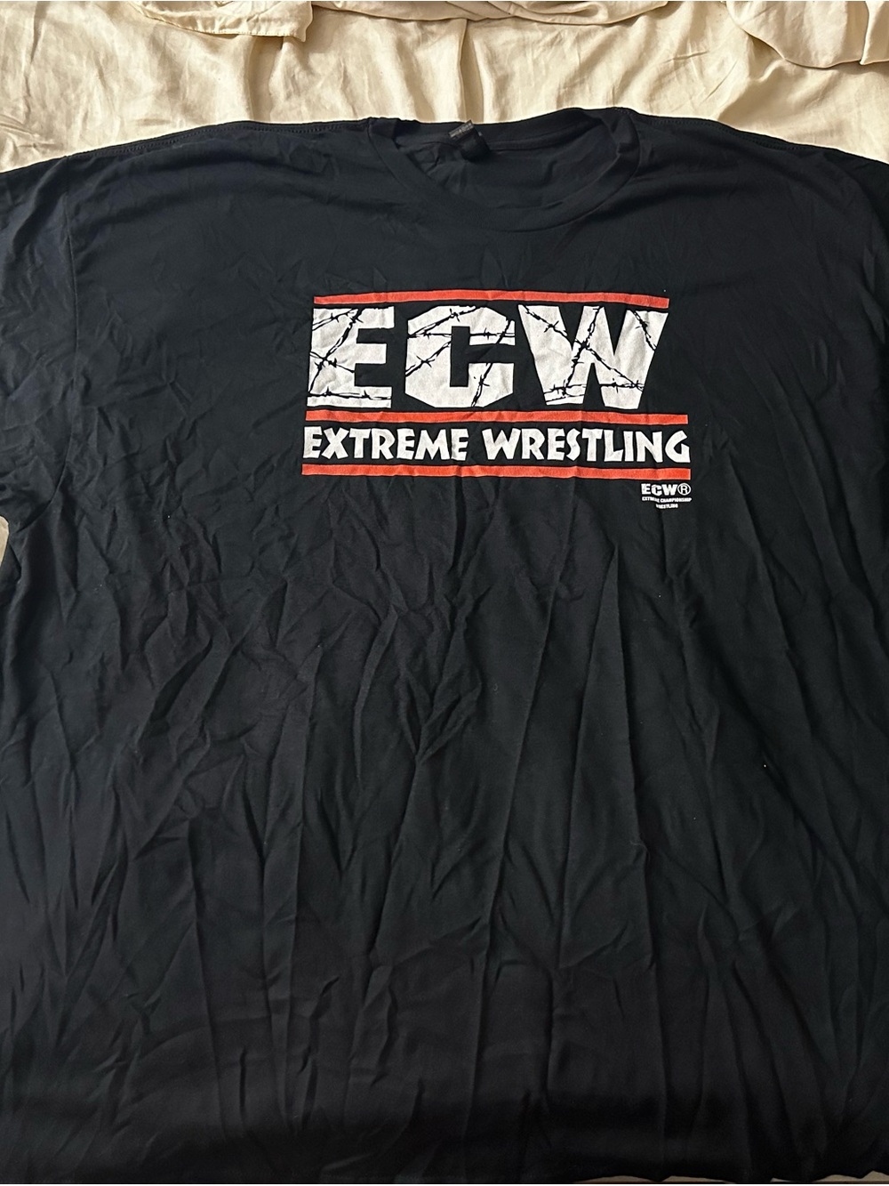 ECW shirt wrestling WWE WWF RVD SABU DREAMER HEYMAN MYSTERIO TAJIRI bWo SANDMAN